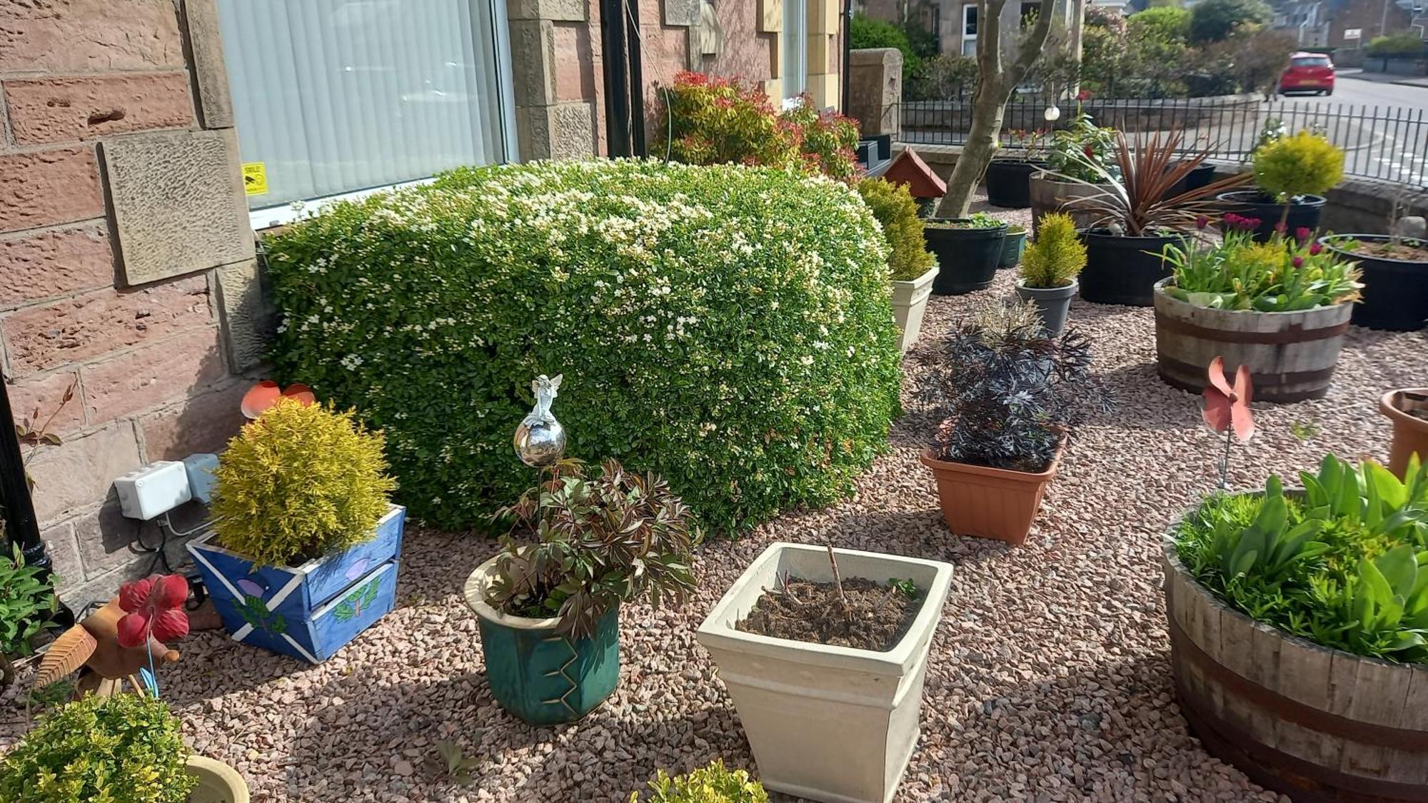 Fairfield Townhouse Guest House Inverness Exterior foto